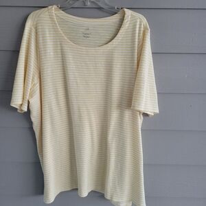 Two J Jill Slub Tees 2X